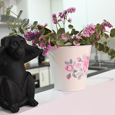 M&M Apartment ロンダ エクステリア 写真